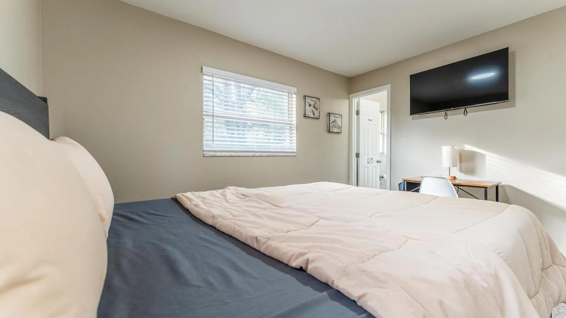 Zenhomes In Tampa Near Usf Privat bolig