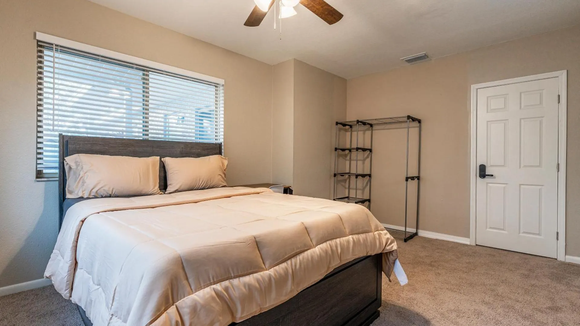 Zenhomes In Tampa Near Usf